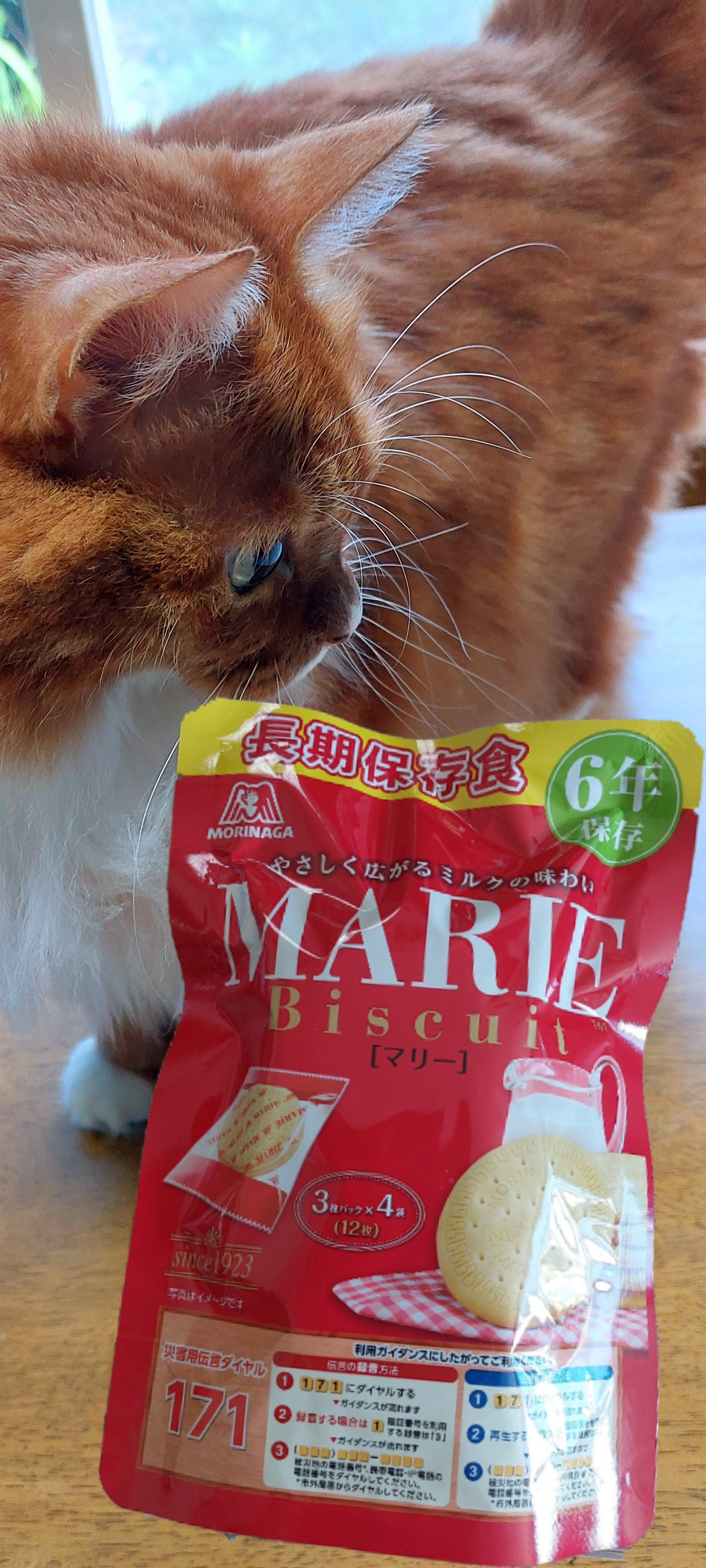 66e13c4f6e30e.jpg?resize=1200x630